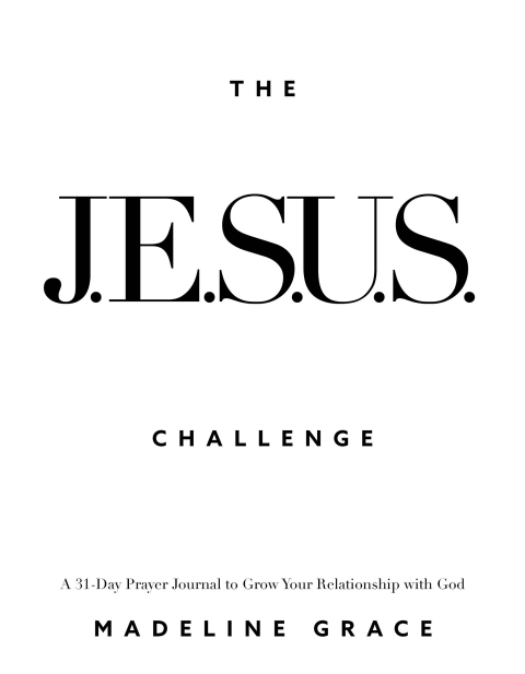 Cover image for book The JESUS Challenge