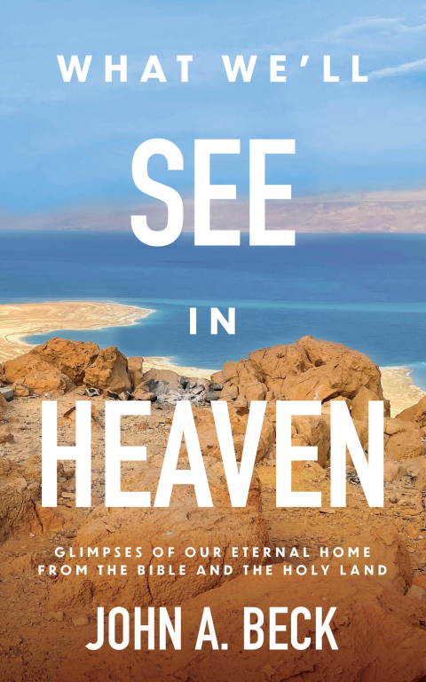 Cover image for book What We'll See in Heaven