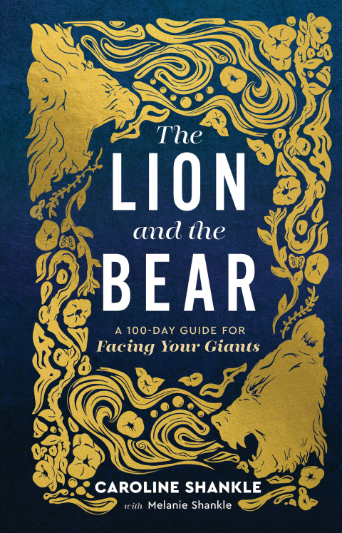 Cover image for book The Lion and the Bear
