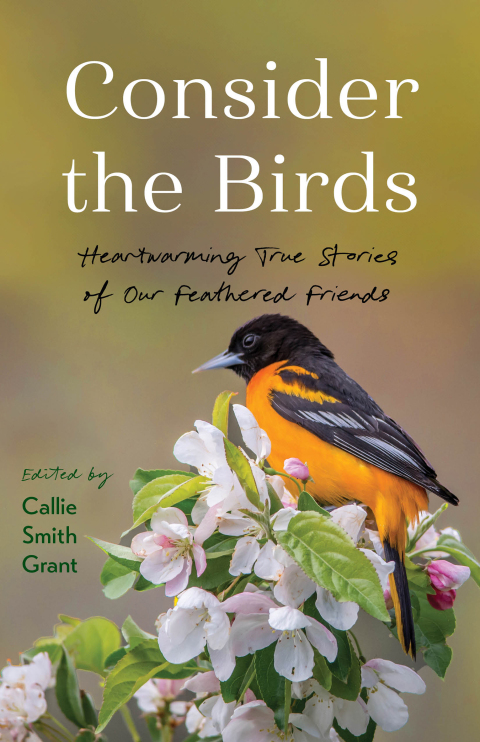 Cover image for book Consider the Birds