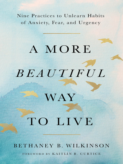 Cover image for book A More Beautiful Way to Live
