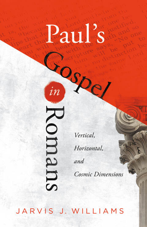 Cover image for book Paul's Gospel in Romans
