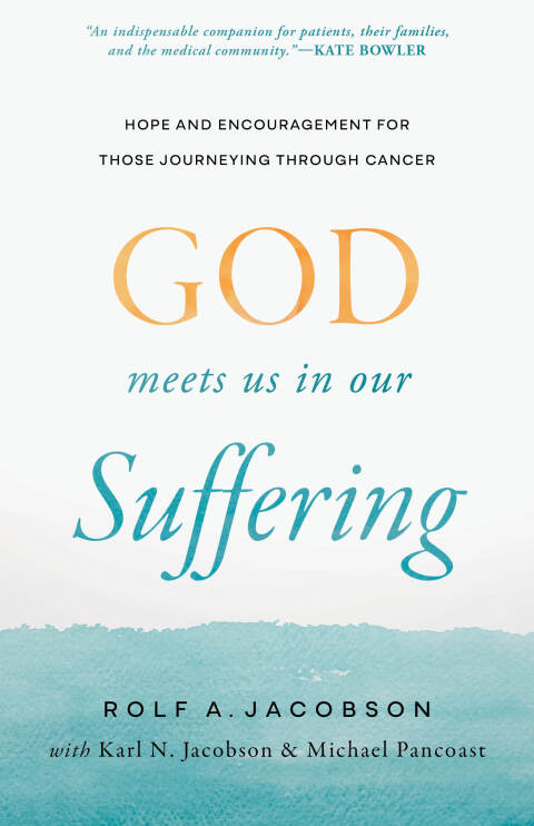 Cover image for book God Meets Us in Our Suffering