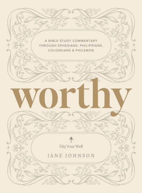 Cover image for book Worthy