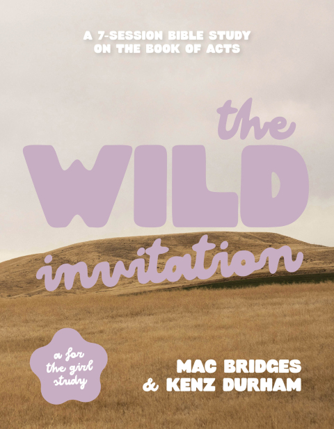 Cover image for book The Wild Invitation