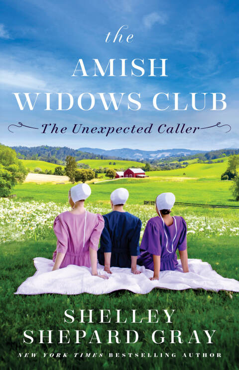 Cover image for book The Unexpected Caller