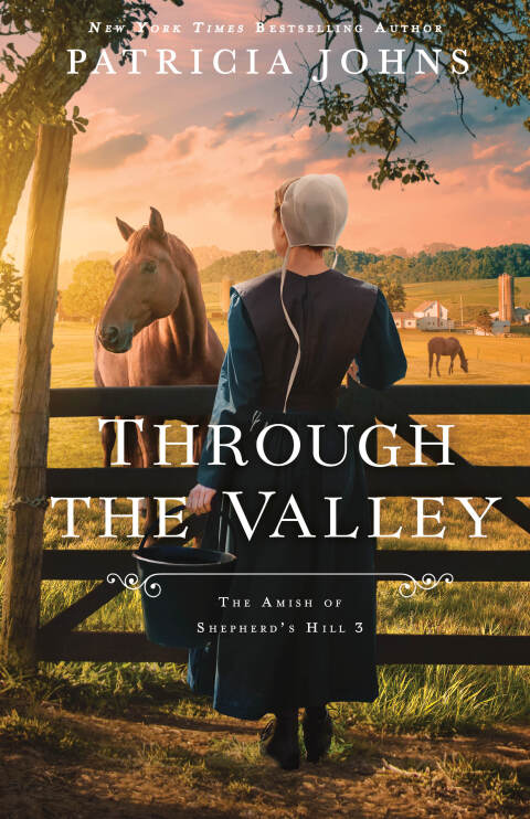 Cover image for book Through the Valley