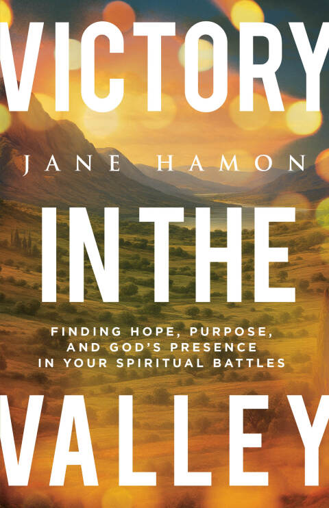 Cover image for book Victory in the Valley