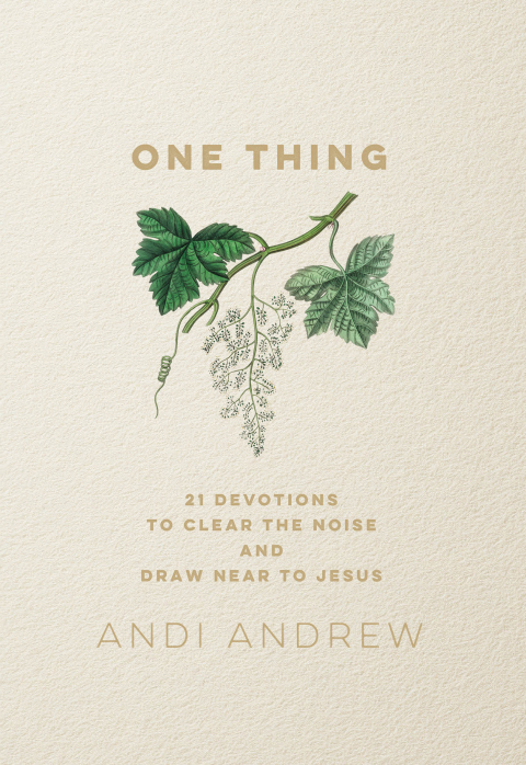 Cover image for book One Thing