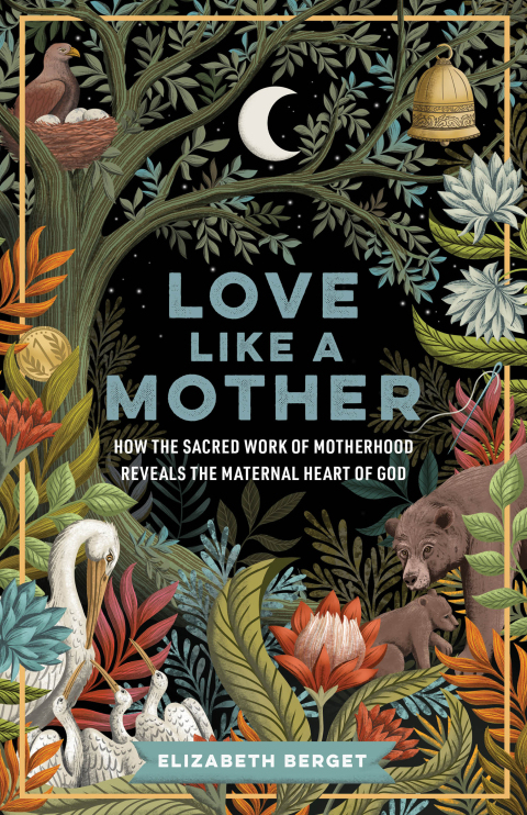 Cover image for book Love like a Mother