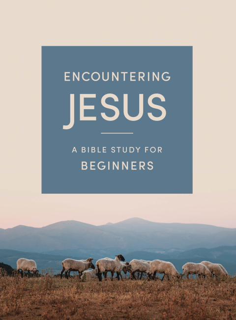 Cover image for book Encountering Jesus