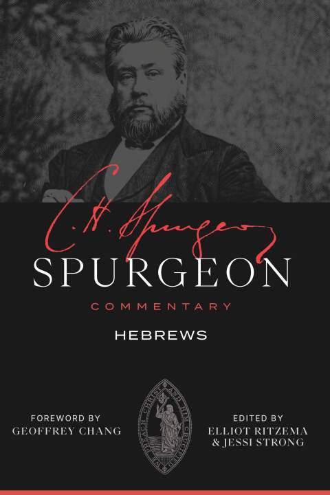 Cover image for book Hebrews