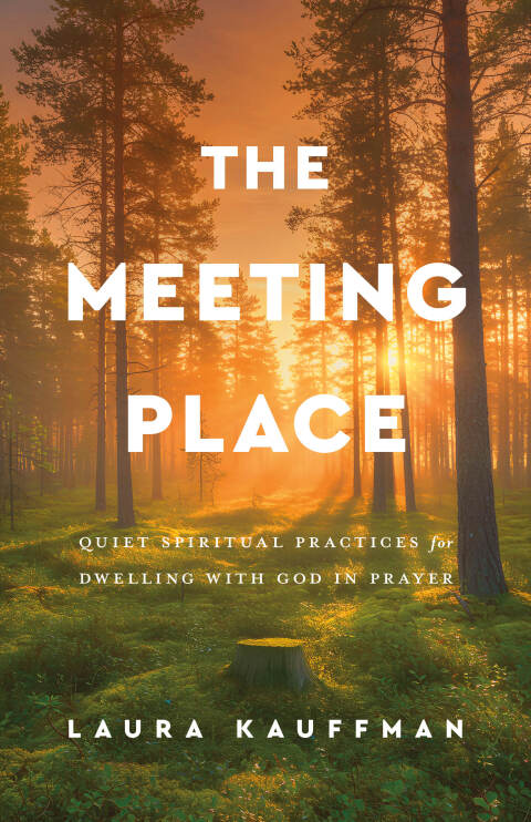 Cover image for book The Meeting Place