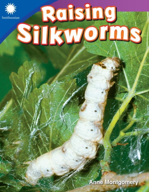 Cover image for book Raising Silkworms