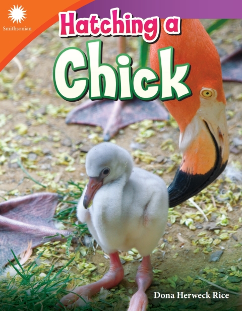 Cover image for book Hatching a Chick