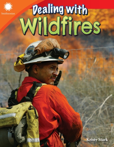 Cover image for book Dealing with Wildfires
