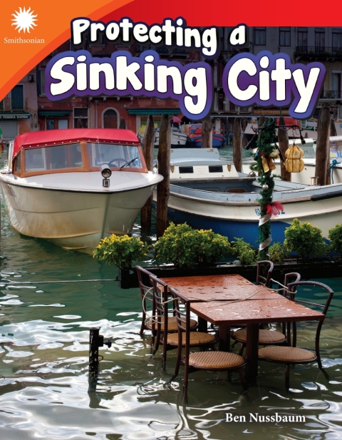 Cover image for book Protecting a Sinking City