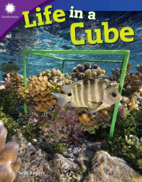 Cover image for book Life in a Cube