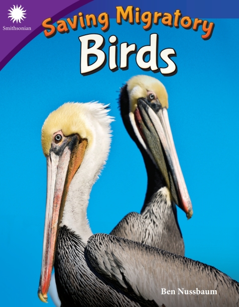 Cover image for book Saving Migratory Birds