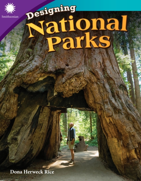 Cover image for book Designing National Parks