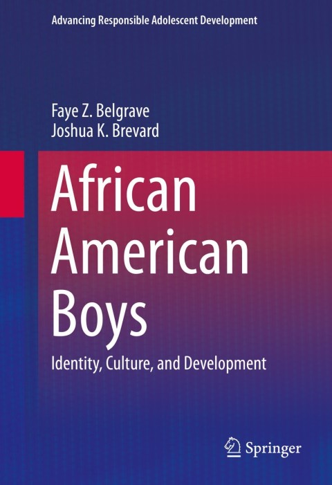 Cover image for book African American Boys