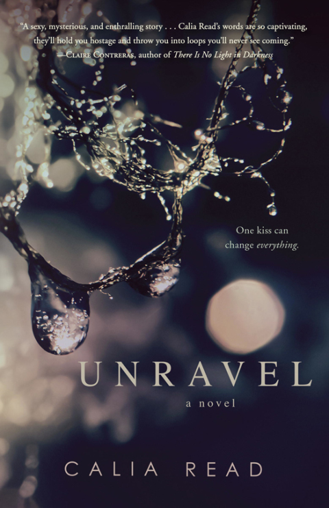 Cover image for book Unravel