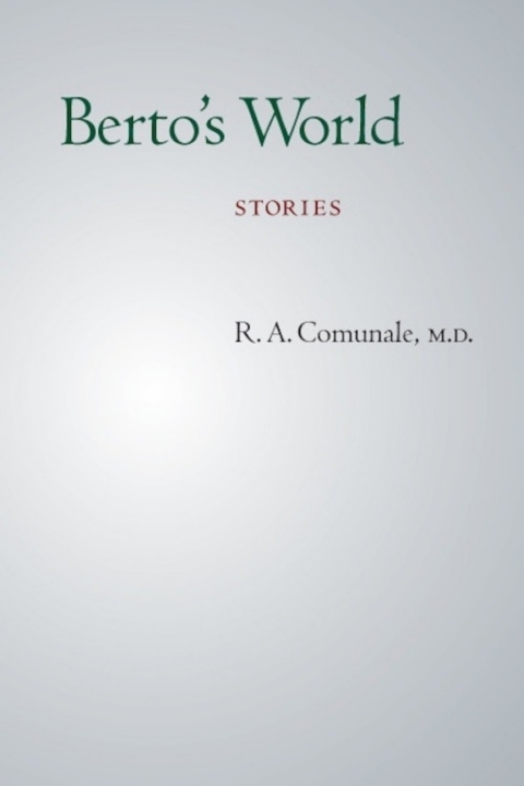 Cover image for book Berto's World
