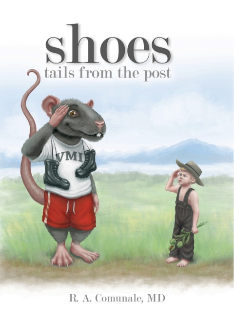 Cover image for book Shoes