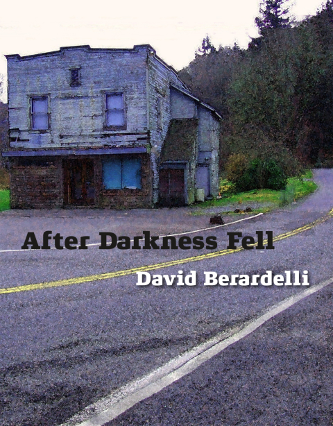 Cover image for book After Darkness Fell