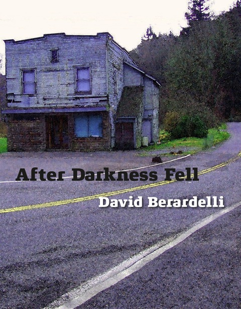 Cover image for book After Darkness Fell