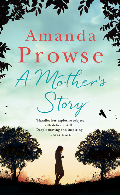 Cover image for book A Mother's Story