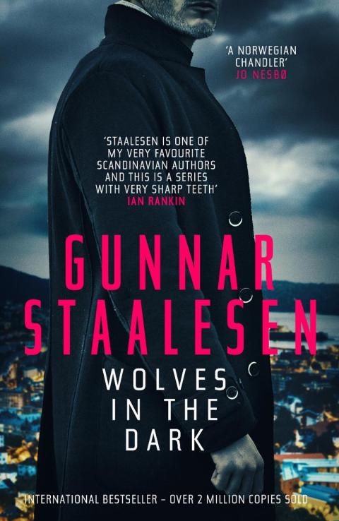 Cover image for book Wolves in the Dark