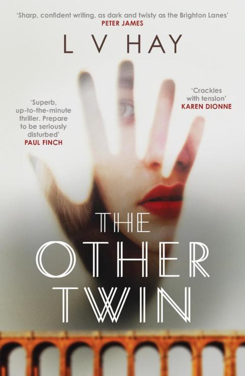 Cover image for book The Other Twin