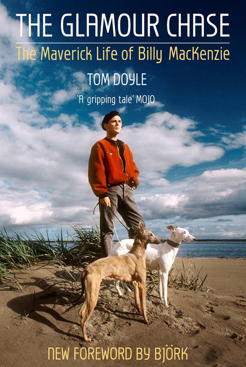 Cover image for book The Glamour Chase