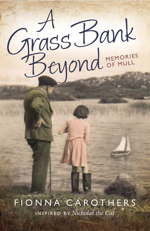 Cover image for book A Grss Bnk Beyond
