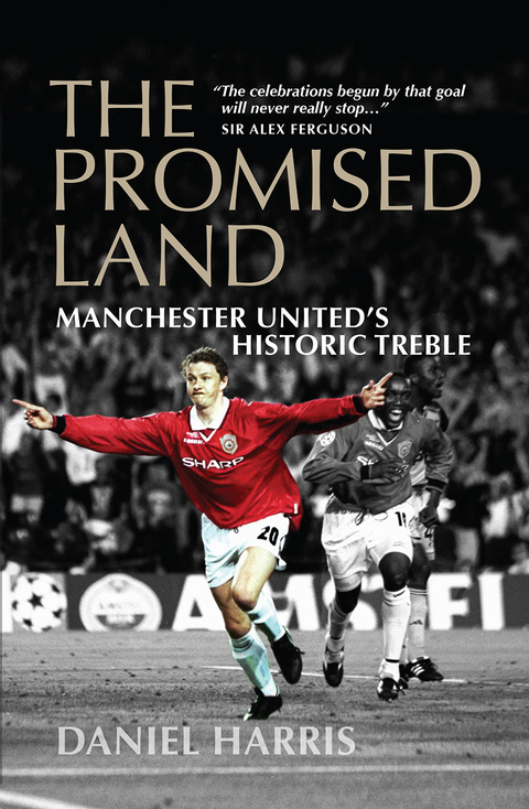 Cover image for book The Promised Land