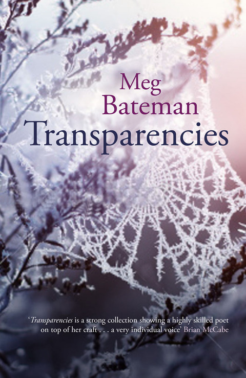 Cover image for book Transparencies