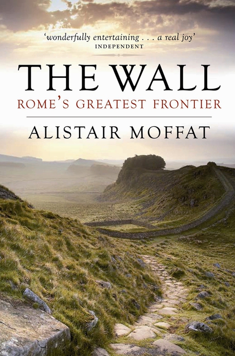 Cover image for book The Wall
