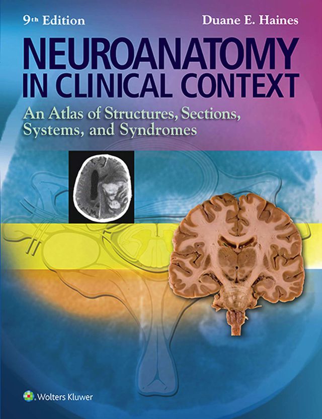 Neuroanatomy in Clinical Context an Atlas of Structures Sections Systems and Syndrome