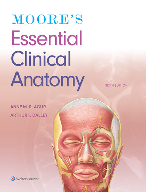 Moore's Essen.Clinical Anatomy W/Access