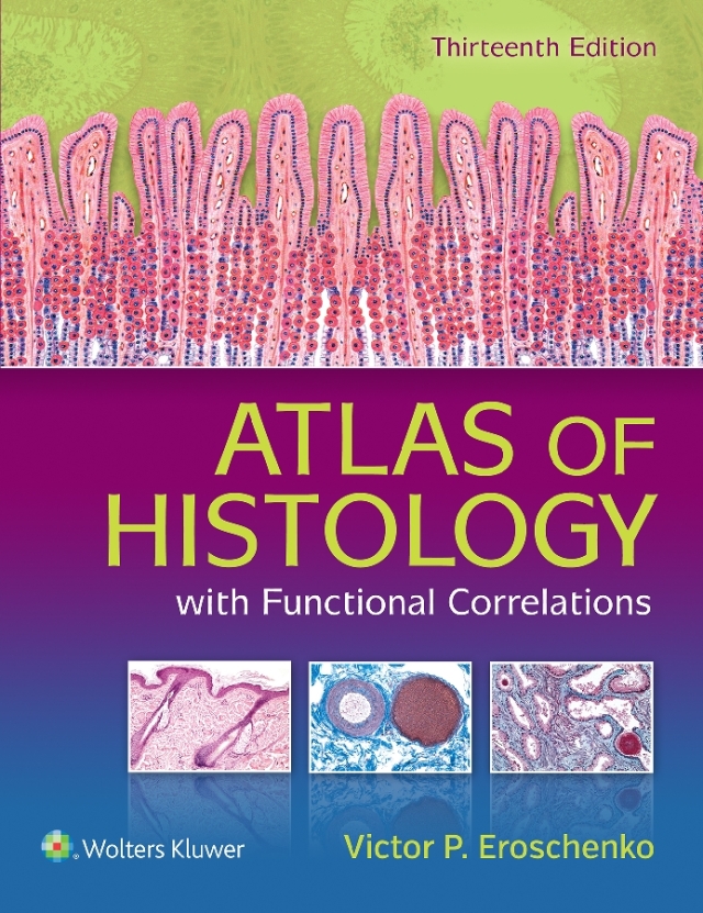 Atlas of Histology With Functional Correlations