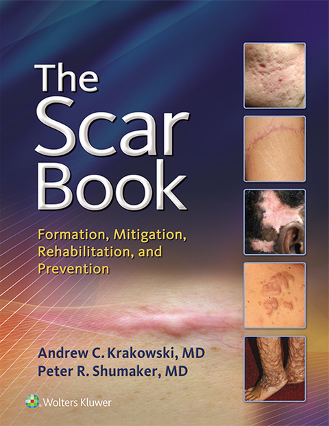 Cover image for book The Scar Book
