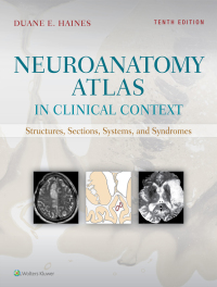 Neuroanatomy Atlas in Clinical Context 10th edition