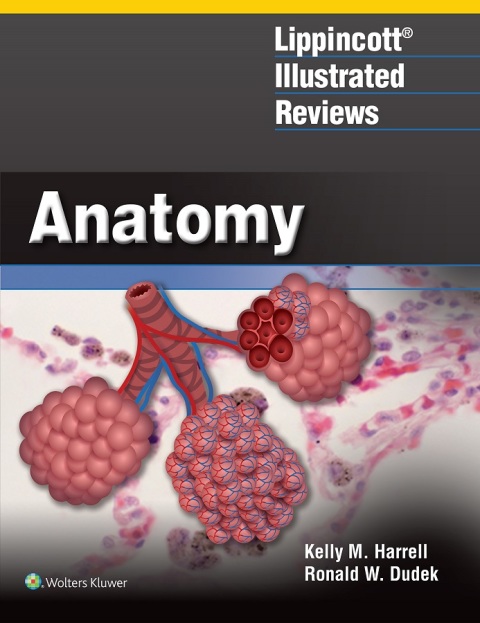 Cover image for book Lippincott® Illustrated Reviews: Anatomy