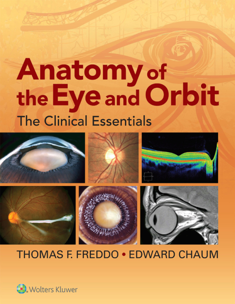 Cover image for book Anatomy of the Eye and Orbit