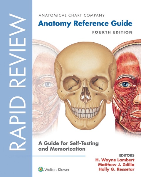 Cover image for book Rapid Review: Anatomy Reference Guide