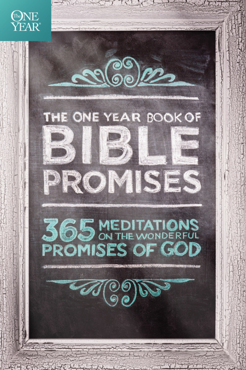 Cover image for book The One Year Book of Bible Promises
