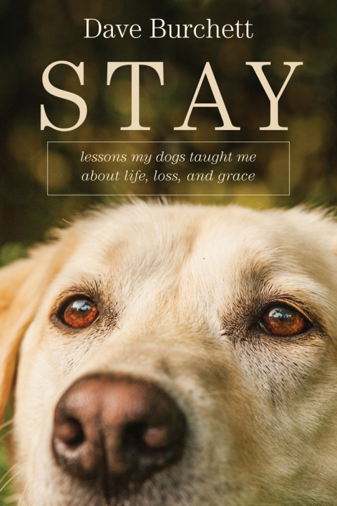 Stay 