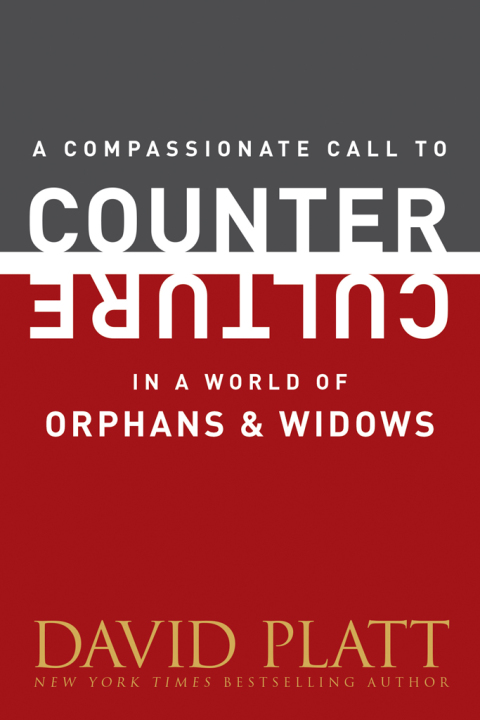 Cover image for book A Compassionate Call to Counter Culture in a World of Orphans and Widows