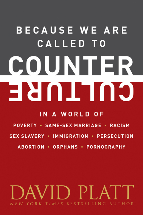 Cover image for book Because We Are Called to Counter Culture